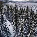 Eira Fjord With Firepit, Snowmobile And Free Snowshoes Daire