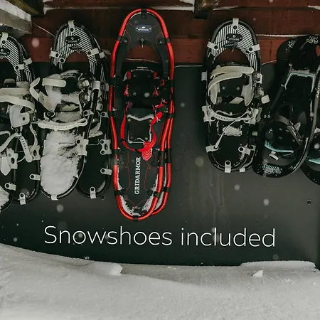 Daire Eira Fjord With Firepit, Snowmobile And Free Snowshoes *