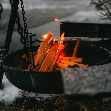 Eira Fjord Stay With Sauna, Boat And Fire Pit By The Fjord Appartement *