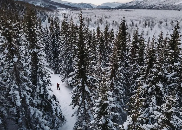 Eira Fjord With Firepit, Snowmobile And Free Snowshoes Apartment